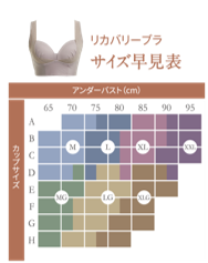 healogyのリカバリーブラのサイズ表